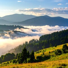 Misty mountain valley at sunrise, sunlit hillsides and evergreen forests