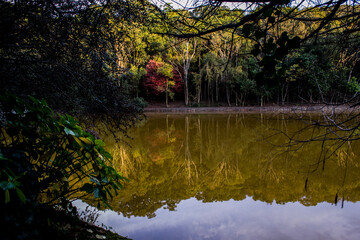 Landscape view of a beautiful lake in autumn