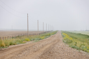 Gravel road trhough the field on a foggy day