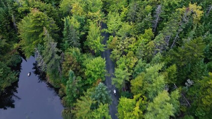 Aerial View Of Scenic Ride Through Forest Path. Cyclist Moves Gracefully In A Natural Setting, Surrounded By Wild Trees, Mountain Slopes, And Sunlit Gravel Road.