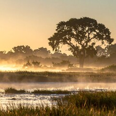 Misty sunrise over a tranquil wetland, a large tree silhouetted against the golden light