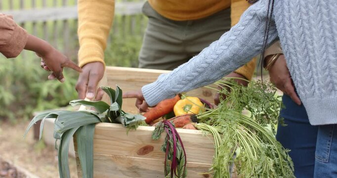 Diverse grandparents spotting veggies in crate guiding kids selecting carrots and leeks in garden