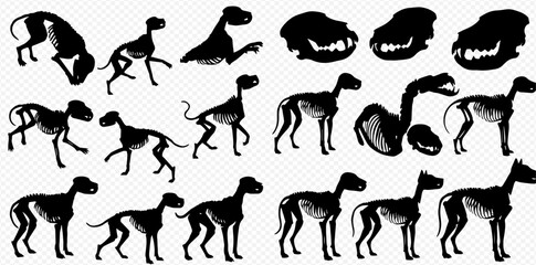 Silhouette illustrations showing various poses of a dog, including skeletal views and head details.