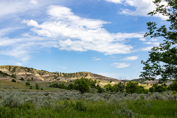 Theodore Roosevelt National Park Badlands