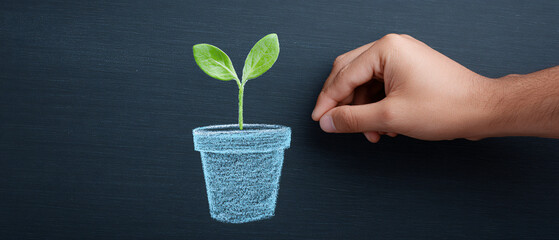 Business Growth, Startup Development, Or Investment Concept. Hand Nurturing A Small Green Sprout Growing From A Chalk Drawn Pot On A Blackboard.