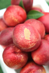 Fresh Australian Nectarines with Water Droplets in White Bowl - Healthy Summer Fruit