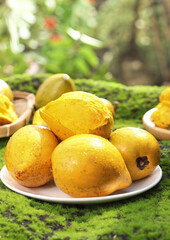 Golden Tropical Fruits from Hainan on Plate in Natural Garden Setting
