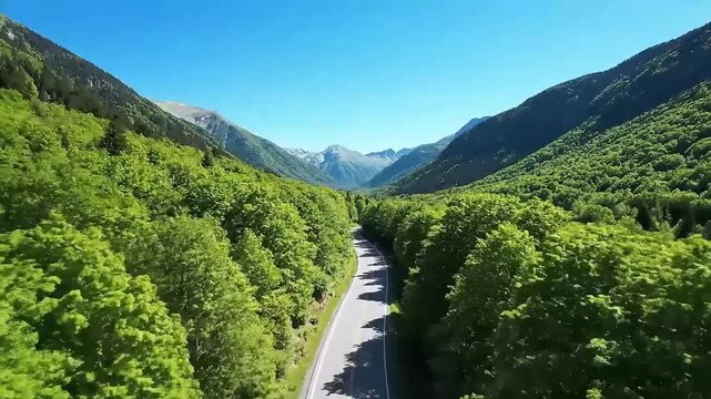 Breathtaking aerial view of a winding mountain road snaking through a lush green forest valley on a bright sunny day surrounded by majestic peaks and a clear bl