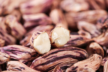 Colorful Striped Peanuts at Farmers Market Exhibition - Fresh Homegrown Nuts Display