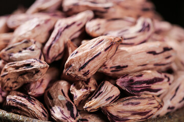 Purple Striped Lima Beans Close-Up - Fresh Organic Legumes with Natural Colorful Patterns