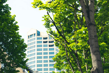 Side view of urban office building of concrete with large regular windows reflecting blue, as seen from between two large stands of deciduous trees on an overcast day. 