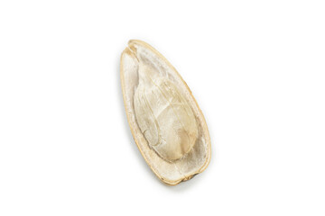 Fresh Raw Oyster Shell Opened on White Background - Seafood Culinary Ingredient