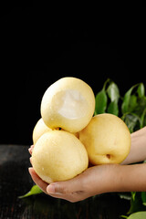 Fresh Hebei Crown Pears in Hands - Crisp White Flesh Golden Fruit