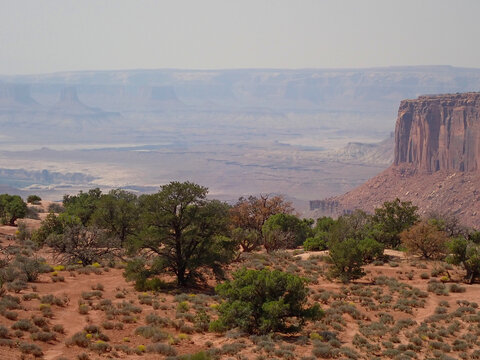Canyonlands National Park mesa and buttes with desert foreground