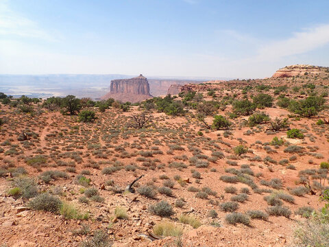 Canyonlands National Park desert mesa and open sky