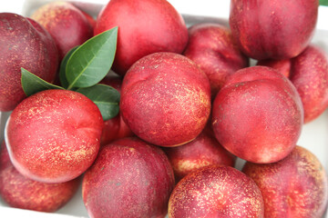 Fresh Australian Nectarines with Red Skin and Green Leaves in White Bowl Display