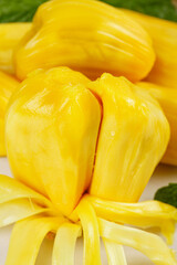 Fresh Golden Jackfruit Segments - Sweet Tropical Fruit from Vietnam and Borneo