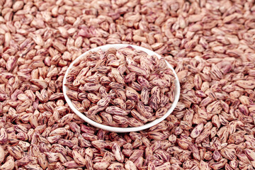 Fresh Pinto Beans in Bowl with Scattered Colorful Speckled Legumes Background