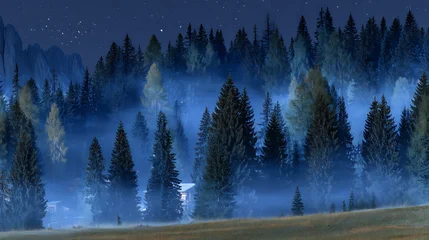 Fototapete Wald im Nebel A forest at night with fog and mist  © melty