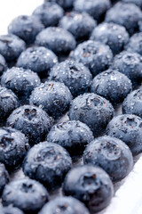 Fresh Blueberries with Water Droplets - Healthy Organic Fruit Close-Up