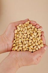 Dried Fried Soybeans in Hands - Traditional Guizhou Farmers Crispy Snack Food