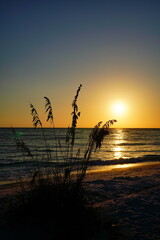 Sarasota, Florida USA - Sep 15, 2025: the sarasota beach sun set landscape