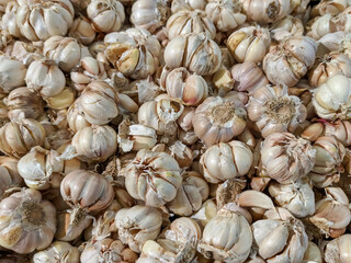 A large, unstructured pile of whole white garlic bulbs with a few loose cloves scattered throughout. The aromatic produce appears fresh and ready for purchase in a market or grocery store.