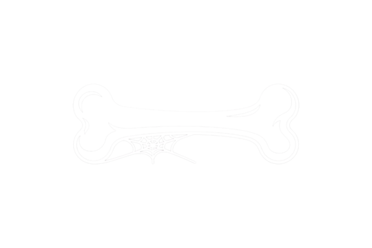 White dog bone with cobweb graphic on black background isolated on a transparent background image