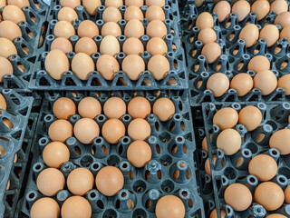 Showcasing numerous brown eggs arranged in rows within multiple black plastic cartons, highlighting the large-scale production and organized display of fresh eggs in a market.