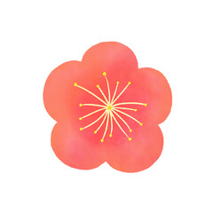 梅の花