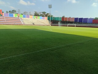 texture of grass on a football stadium field after being cut