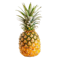 Obraz premium Single pineapple against black background (1)