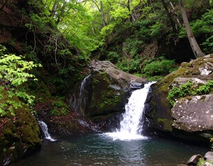 Fototapeta premium Cascading waterfall in a lush, forested ravine