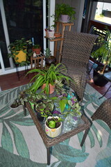 Plants and Furniture on a Deck