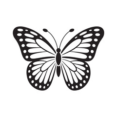 butterfly vector illustration
