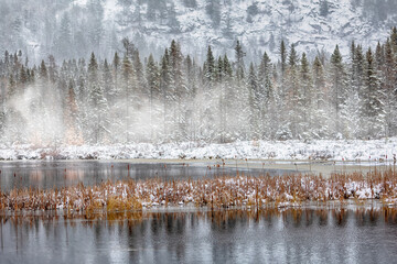 Algonquin Park Ontario Winter Landscape with Snow Covered Forest and Lake