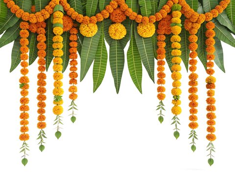 Vibrant toran decoration isolated on white background, featuring bright marigold garlands and fresh green mango leaves, perfect for adding a festive touch to any space