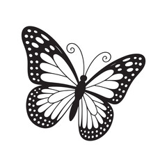 butterfly isolated on white