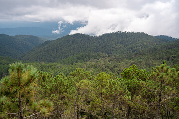 Sierra Norte del Estado de Oaxaca