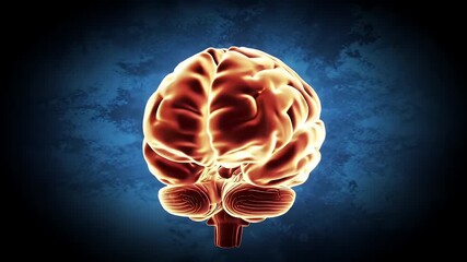 Detailed 3D Animation of Illuminated Human Brain Rotation with Orange and Yellow Hues Against Dynamic Blue Background Perfect For Medical Visualization and Neurological Studies