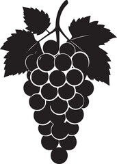  Fresh Grapes Silhouette Vector Illustration
