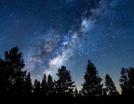 Night sky panorama featuring the Milky Way galaxy above a dark silhouette of pine trees - Powered by Adobe