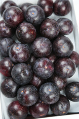 Fresh Red Australian Plums in Container - Imported Stone Fruit with Dark Purple Flesh