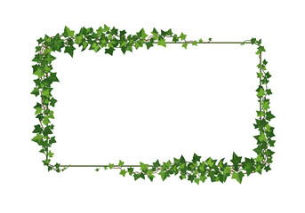 Green Ivy Frame Natural Border Design.
