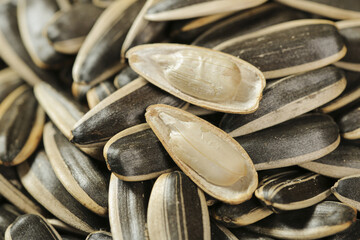 Black striped sunflower seeds macro close-up showing kernels and natural shell texture