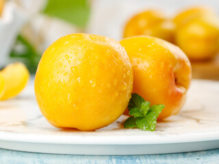 Fresh Golden Apricots with Water Droplets and Mint Garnish on White Plate