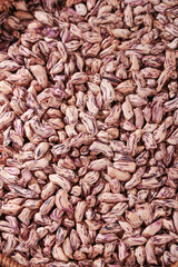Colorful Pinto Beans Drying Pattern - Homegrown Legumes Agriculture Background