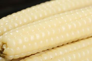 Fresh White Sweet Corn Cobs with Water Droplets Macro Close-up