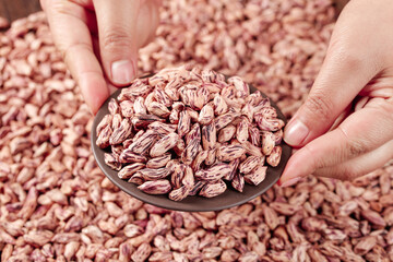 Fresh Pinto Beans in Bowl Held by Hands - Colorful Legume Harvest Display
