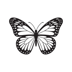 butterfly isolated on white